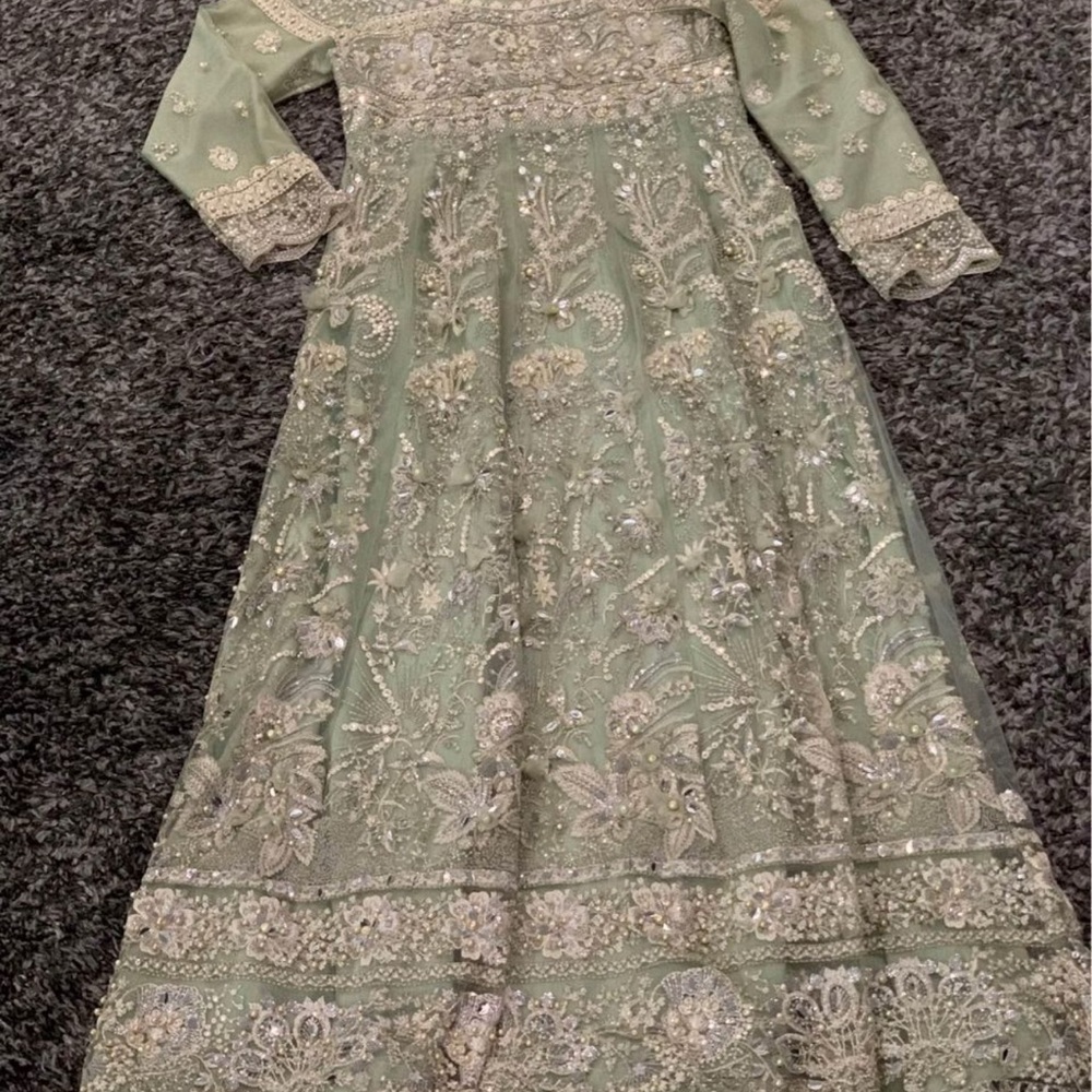 Desi Pistachio Green Gown - Picture 3 of 6